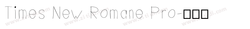 Times New Romane Pro字体转换